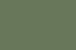 Visual representation of the color 
          green of code #68775A